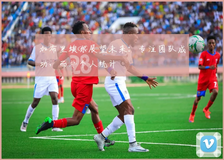 加布里埃尔展望未来:专注团队成功,而非个人统计