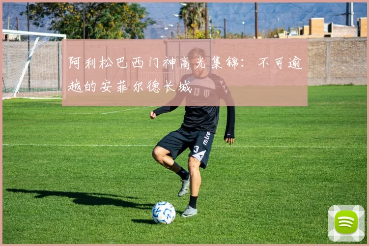 阿利松巴西门神高光集锦:不可逾越的安菲尔德长城