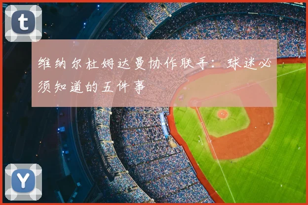 维纳尔杜姆达曼协作联手:球迷必须知道的五件事